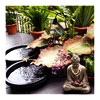 Plan your Garden with Fengshui